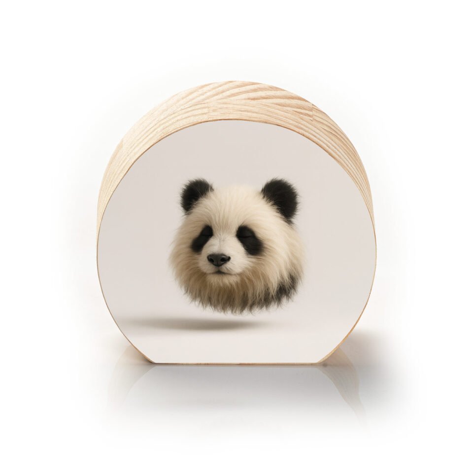 Doçura Contemplativa