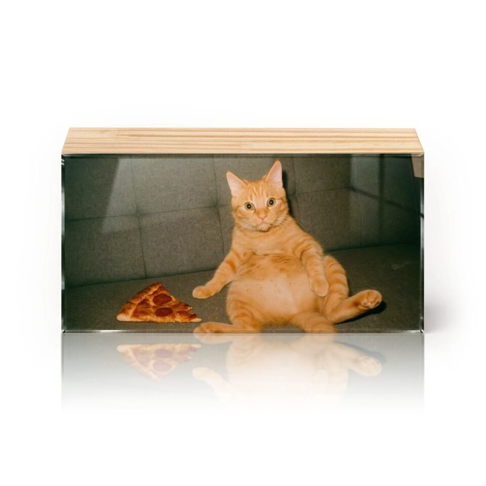 Totem Decorativo 'Lazergato & Pizza'