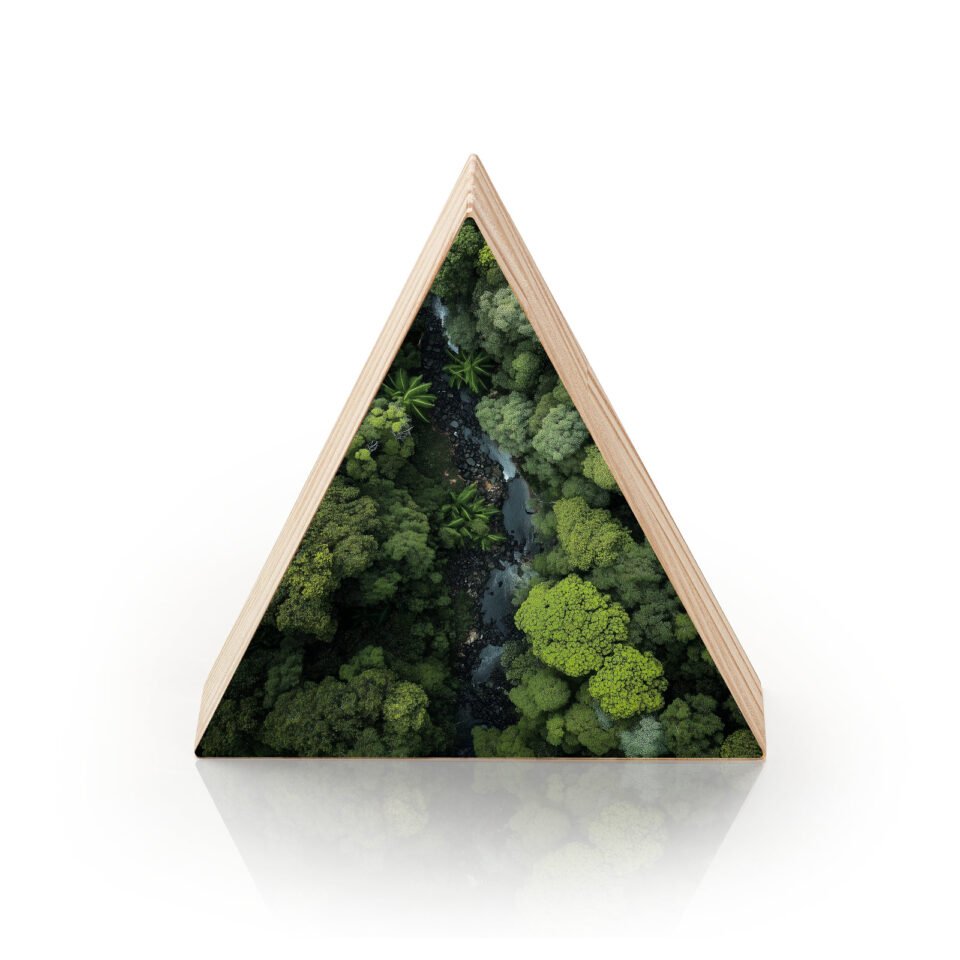 Coração da Floresta