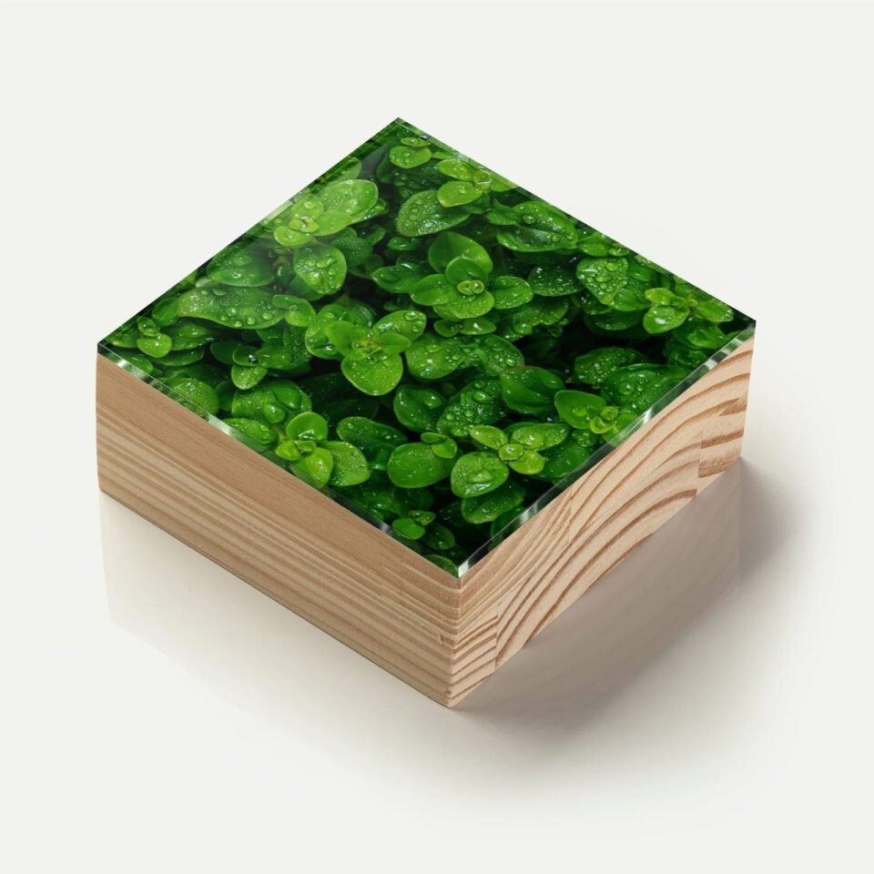 Totem Decorativo 'Verde que Inspira'