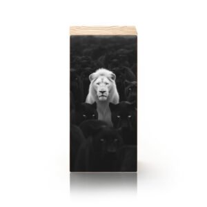 Entre Sombras e Destino