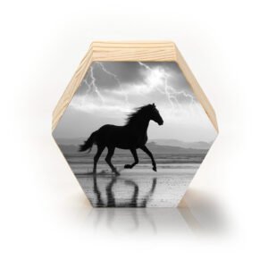 Trovão em Movimento