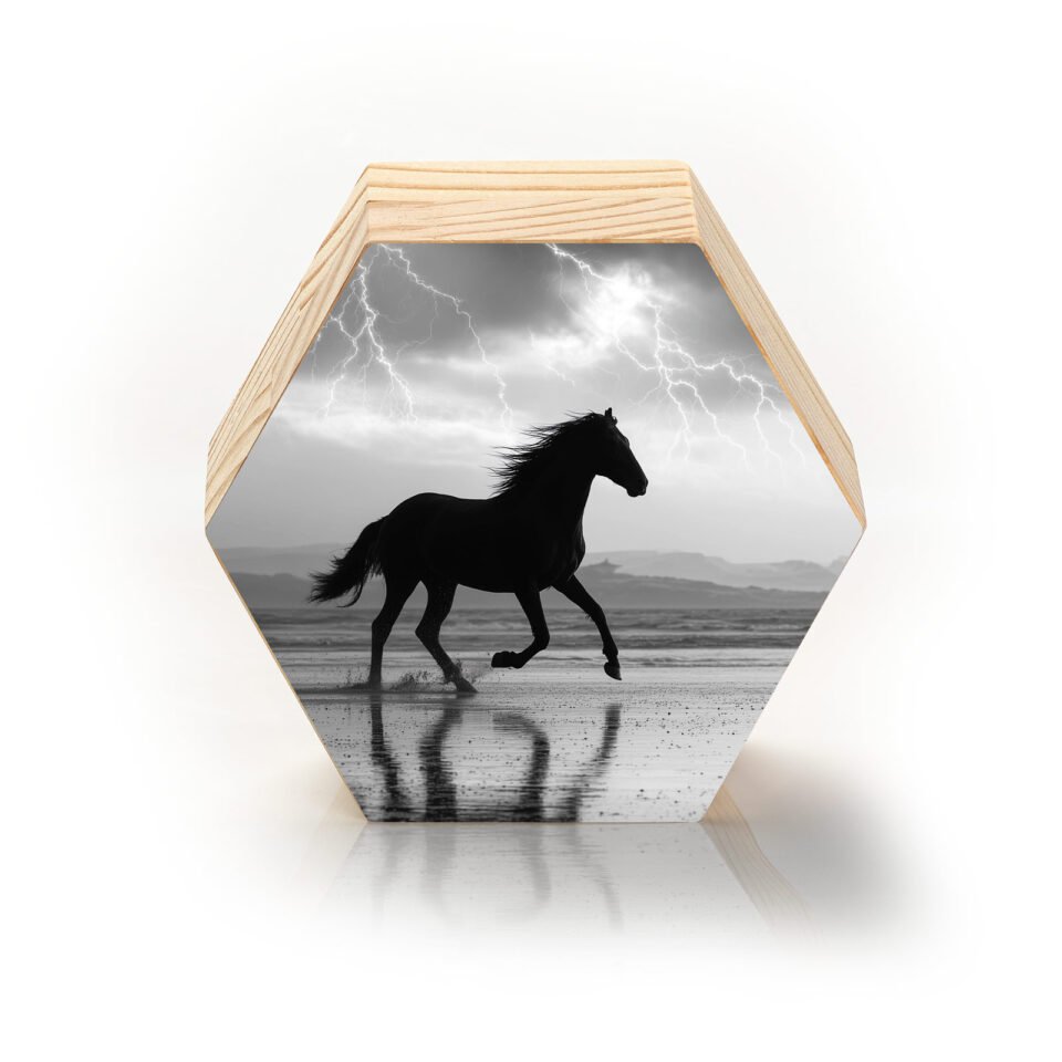 Trovão em Movimento