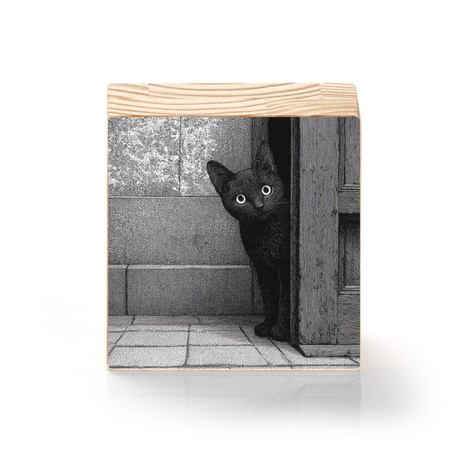 Curiosidade à Espreita