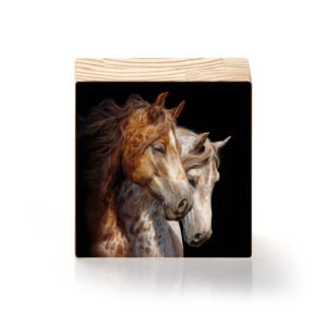 Companheiros do Vento