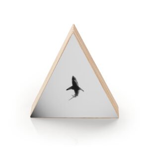 Guardião das Profundezas