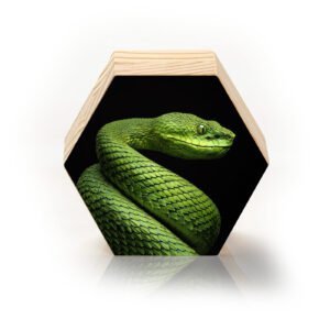 O Guardião Esmeralda